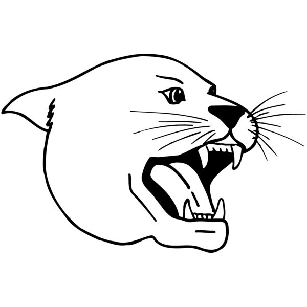 CAT04 Thumbnail
