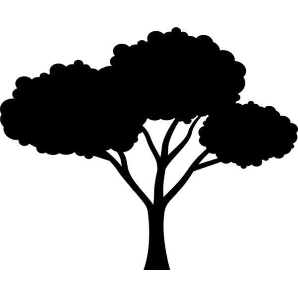 40 Tree Thumbnail