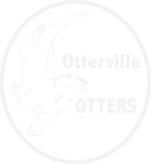 ottervilleotters